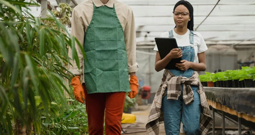 Organic farms avoid toxic inputs, improve soil health, grow clean, sustainable food that supports nature.